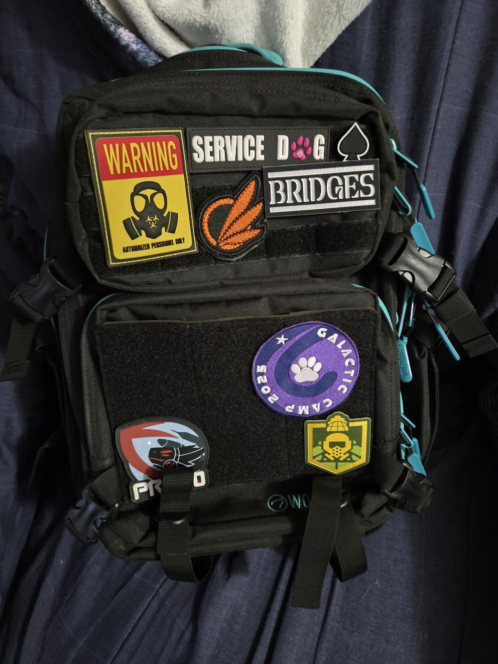V1 Fierce Aqua 35L Wolfpak Backpack
